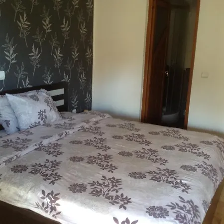 度假居 Nadejda Vacation House 拉兹洛格
